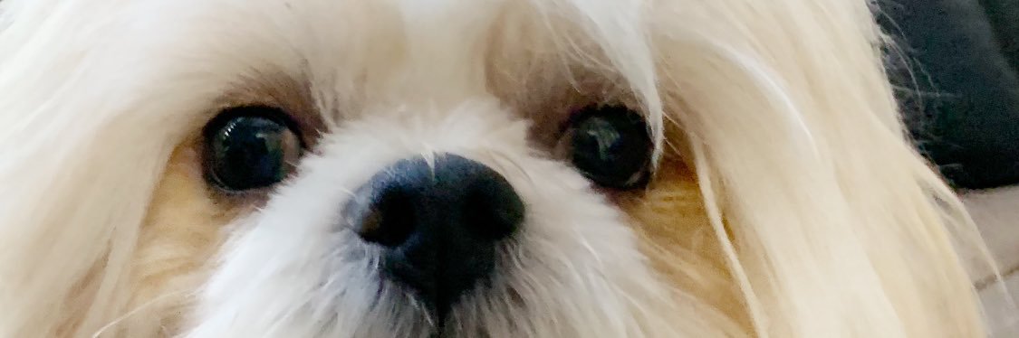 DLechugaa's profile banner image