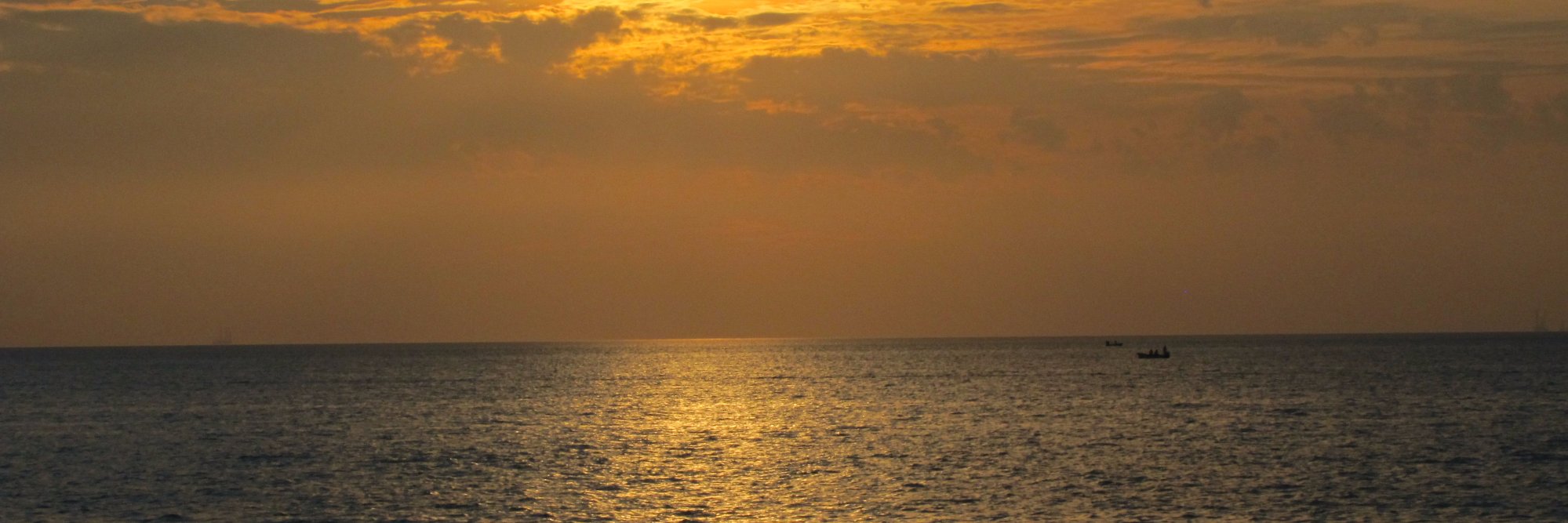 alamina78's profile banner image
