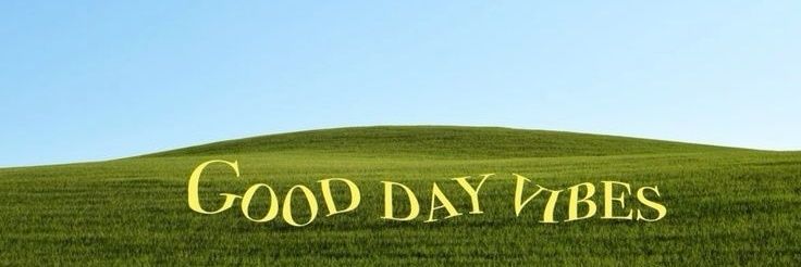 ʕ´•ᴥ•`ʔ banner