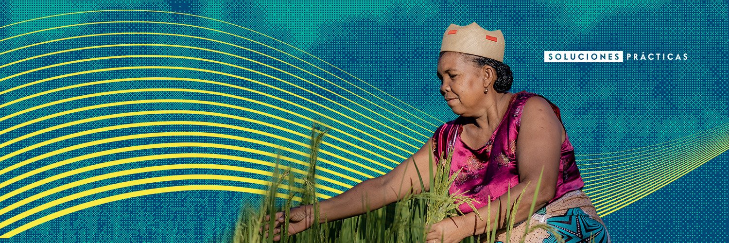UNOPS_es's profile banner image