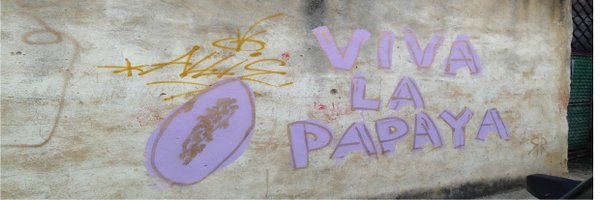 aliciabbaier Profile Banner