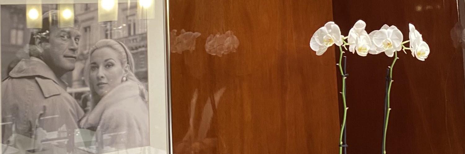 منيـره الـمنصوري banner