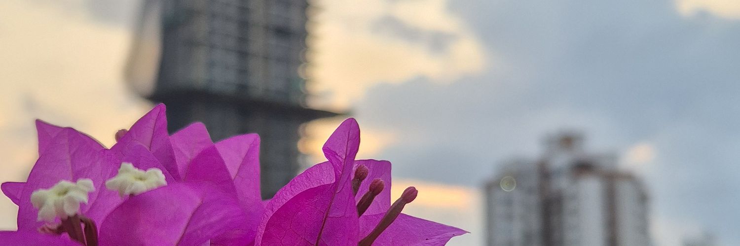 BarajaLau's profile banner image