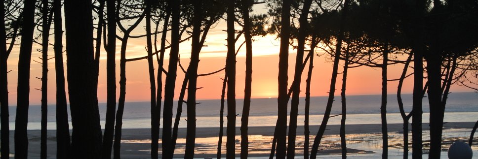 Helen Patten Physiotherapist banner