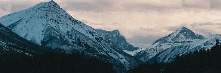 🗻 banner