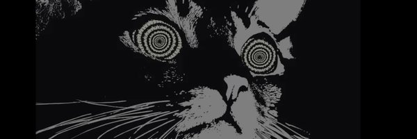 moklasen Profile Banner