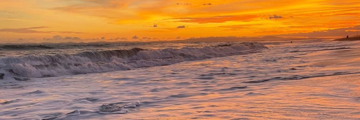 paonic_'s profile banner image