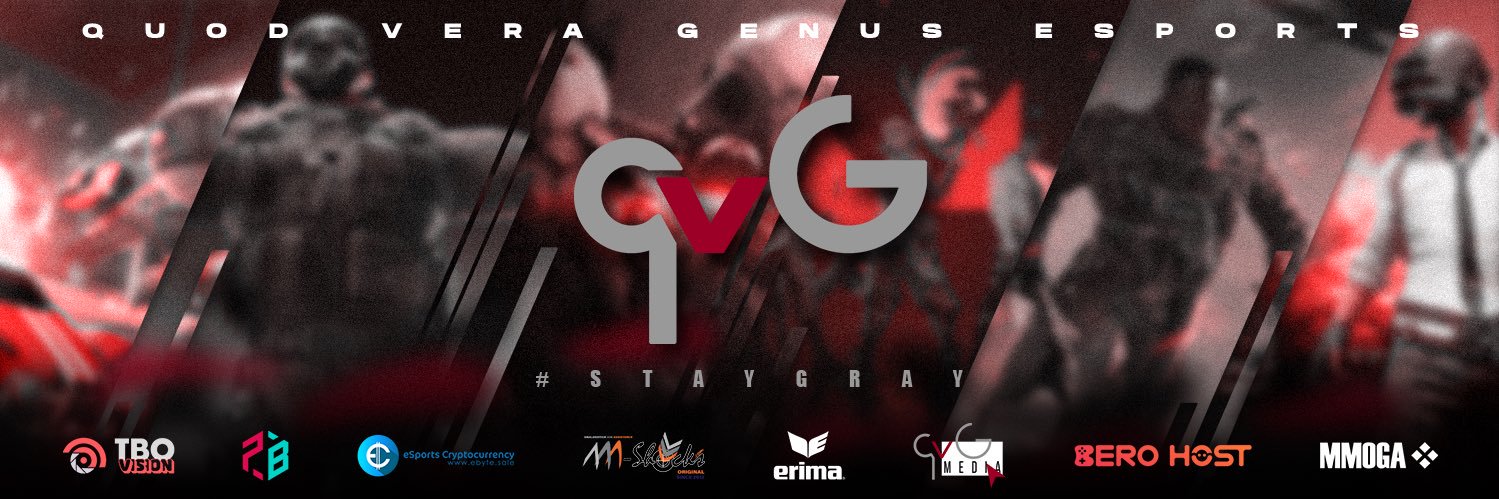 qvG eSports banner