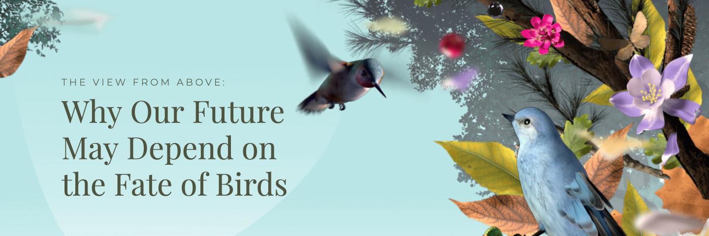 Martijn Verver banner