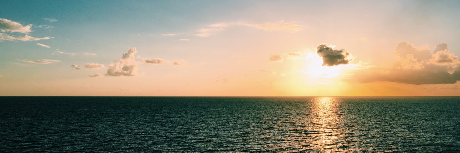 catraineri's profile banner image
