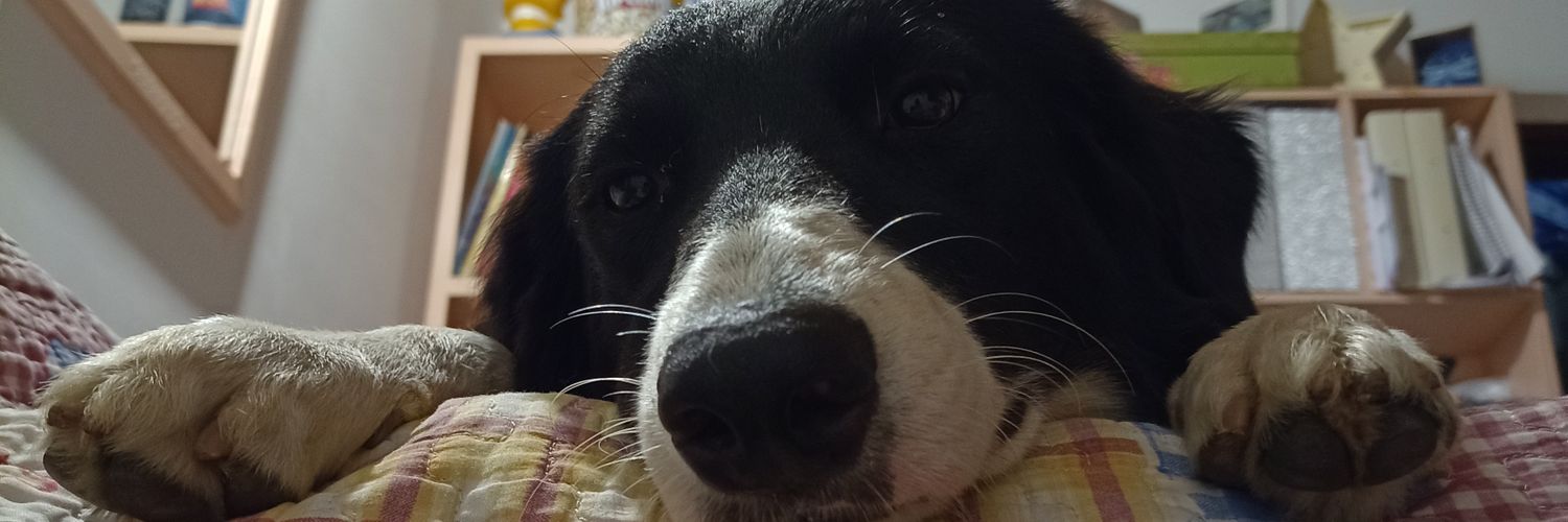 manueladelascas's profile banner image