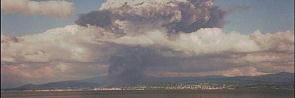 pstrust Profile Banner