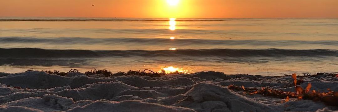 Katrina Armstrong (Hounchell) banner