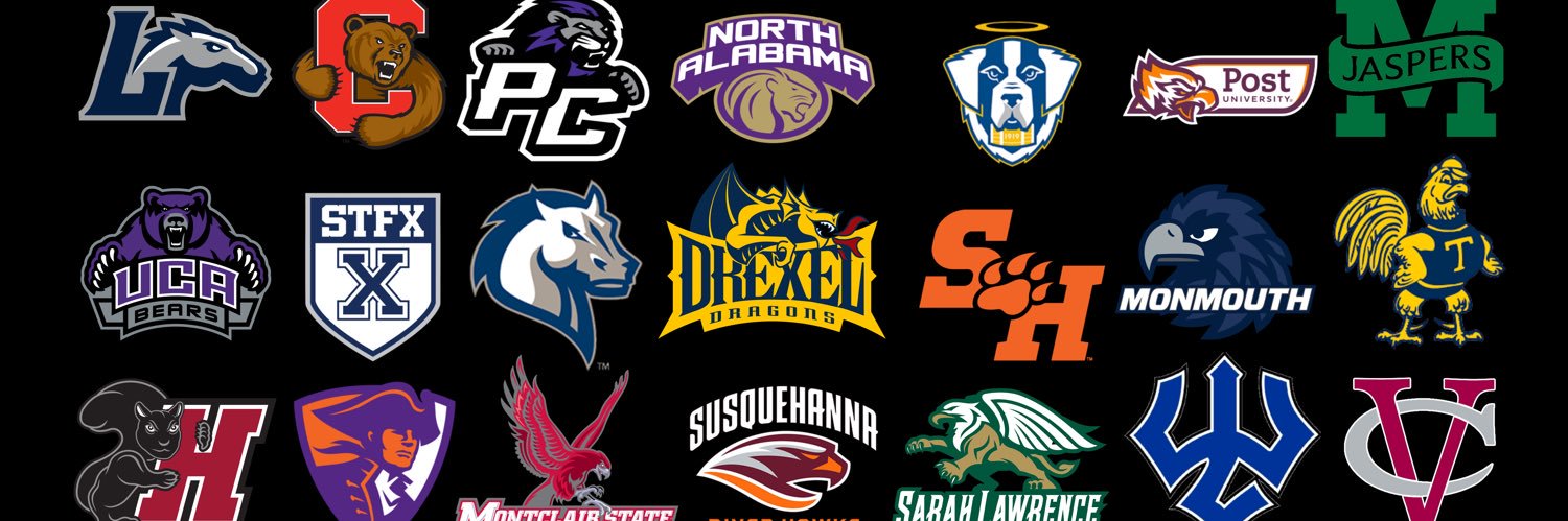 Pro Level Titans banner