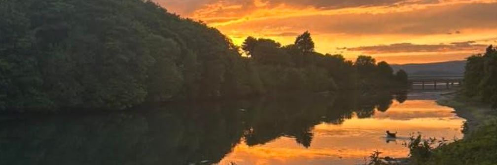 Hanlon_Stephen's profile banner image