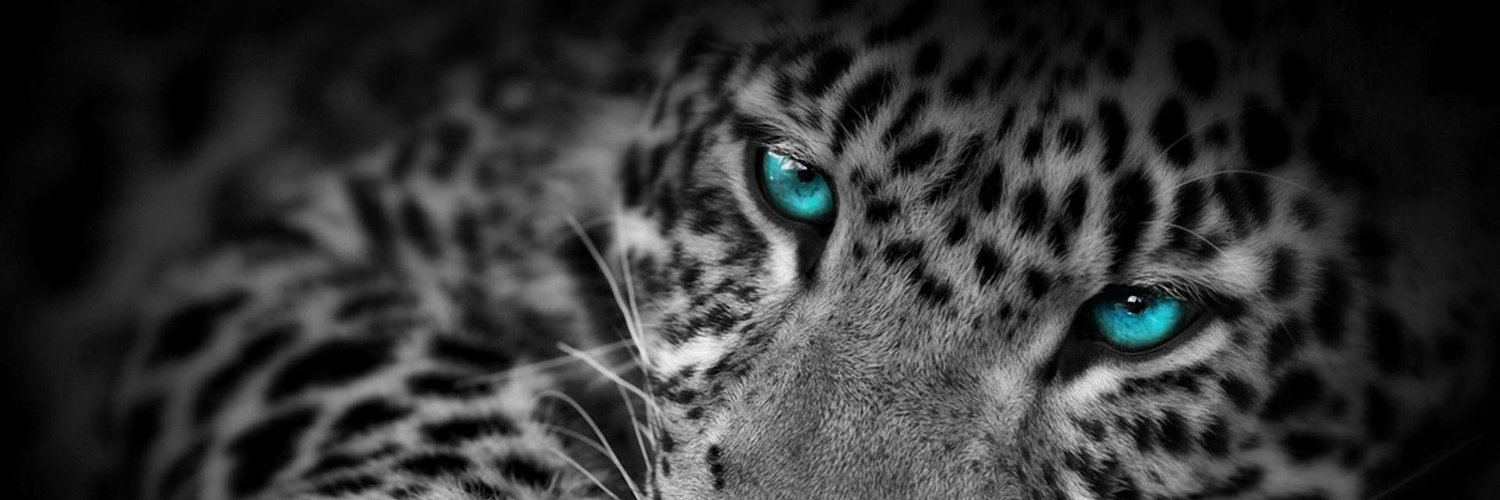 mh_mema's profile banner image