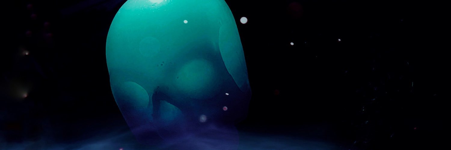 Tomb Svalborg🍂🍁 banner