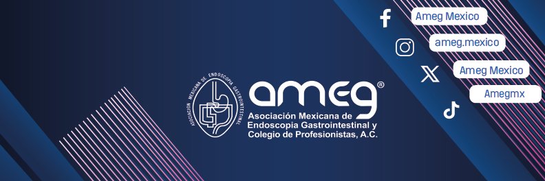 Ameg México banner