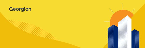 Georgian_io Profile Banner
