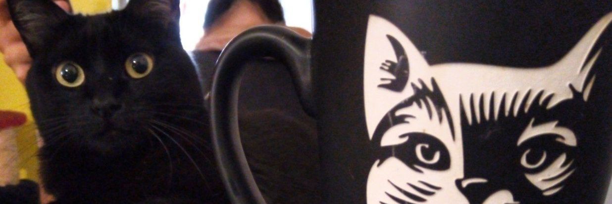 fercho_enc's profile banner image