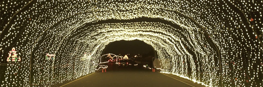WinterWonderPDX's profile banner image