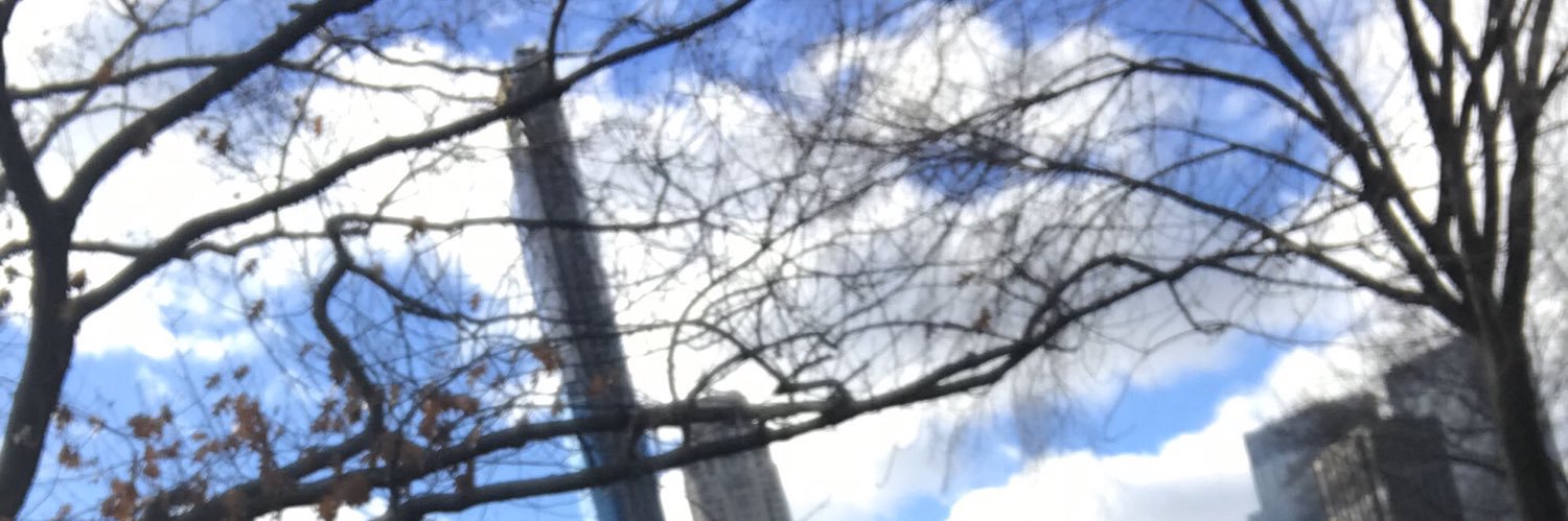 Miglena Sternadori banner