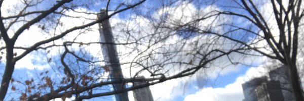 sternprof1 Profile Banner