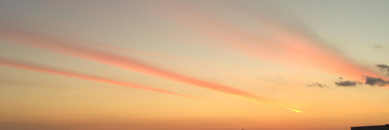 srx4's profile banner image