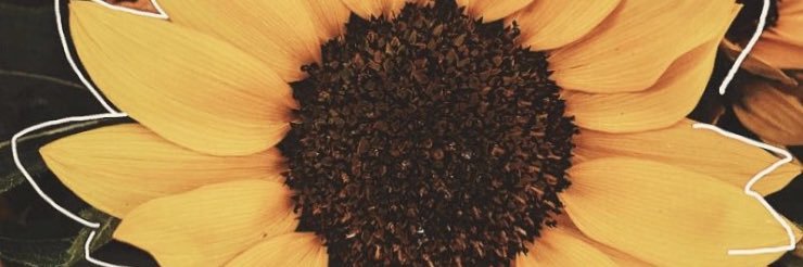krisstaaal's profile banner image
