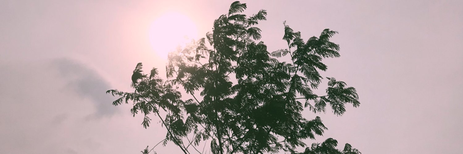 roulaque's profile banner image