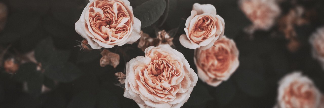 X3_Christinaa's profile banner image