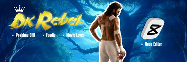 DK_Rebel_ Profile Banner