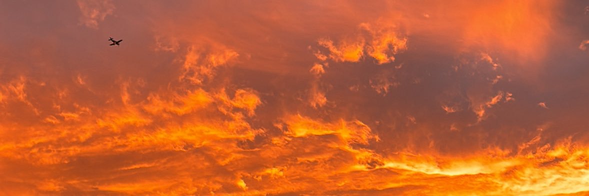 smhemoly's profile banner image
