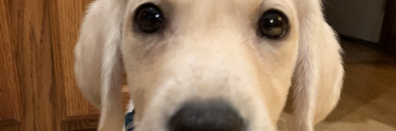 BGozzo's profile banner image