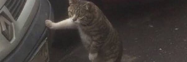_alonenakub's profile banner image