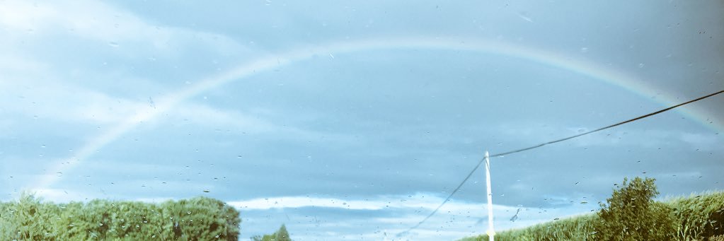 SydneyGreiner1's profile banner image