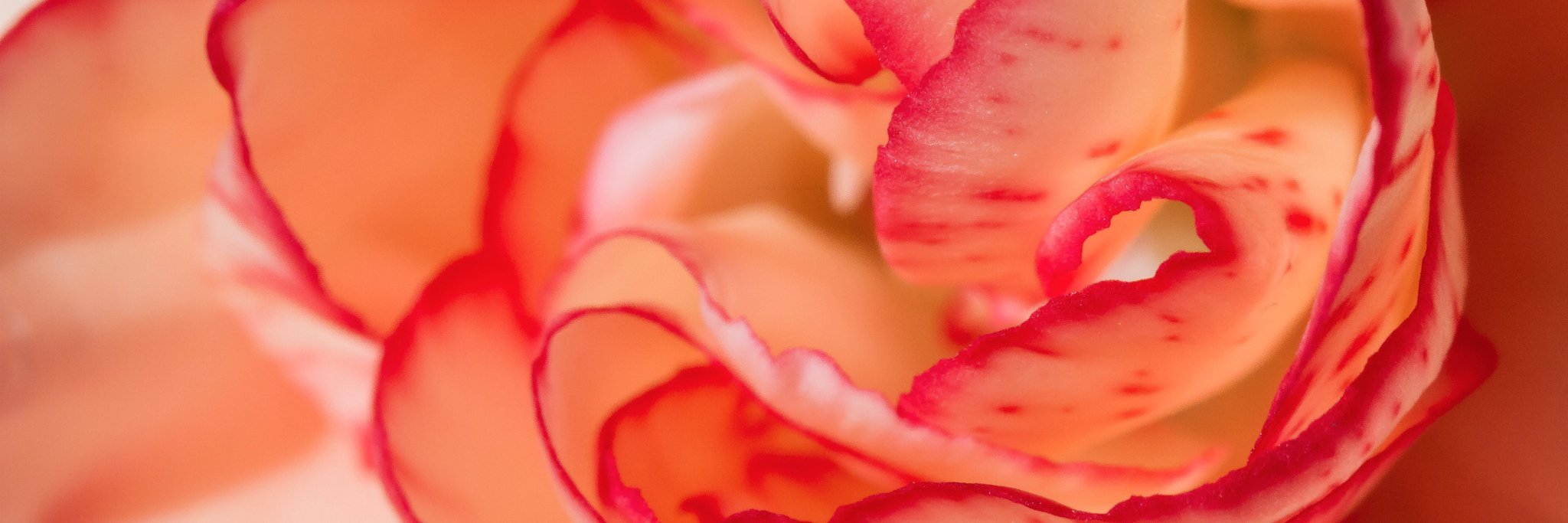 CheckPhotograph's profile banner image