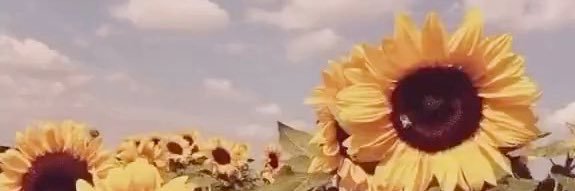 hailslol4's profile banner image