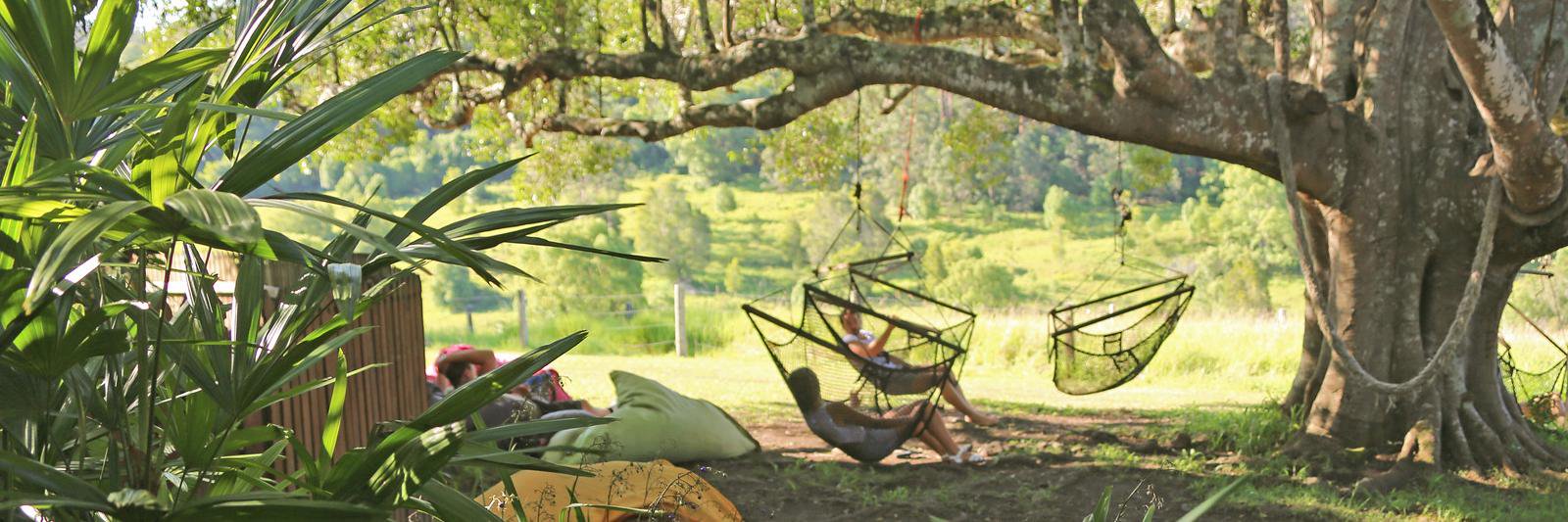 Visit Nimbin banner