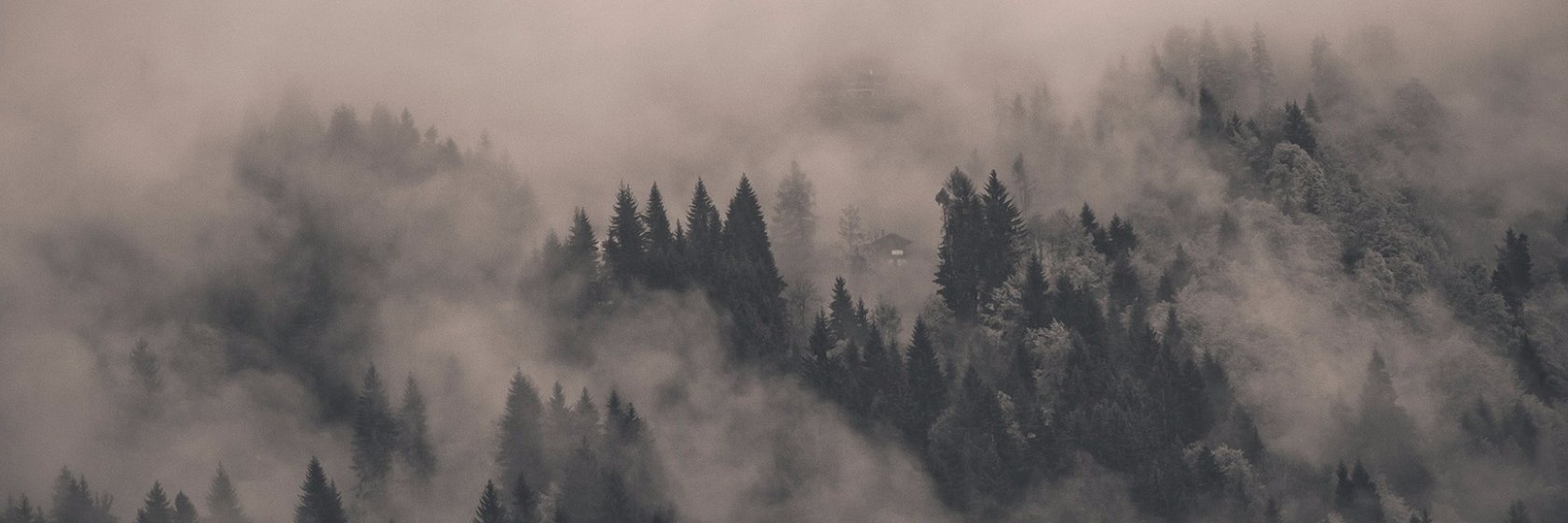 ekalstr's profile banner image