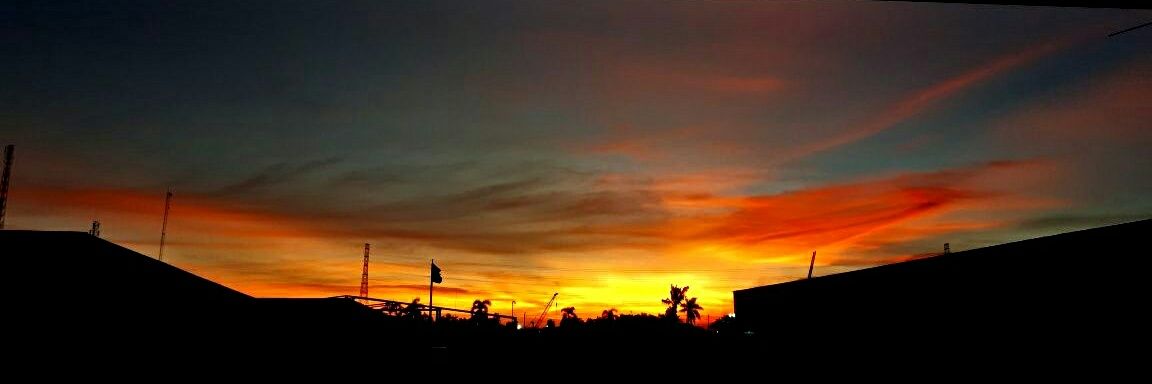 cikoo || anak ayam 🐥 banner