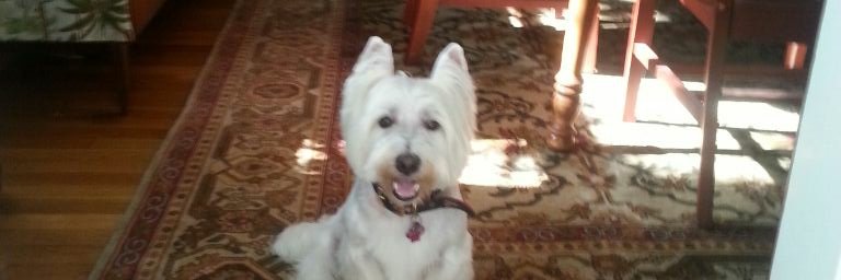 cathy71263's profile banner image