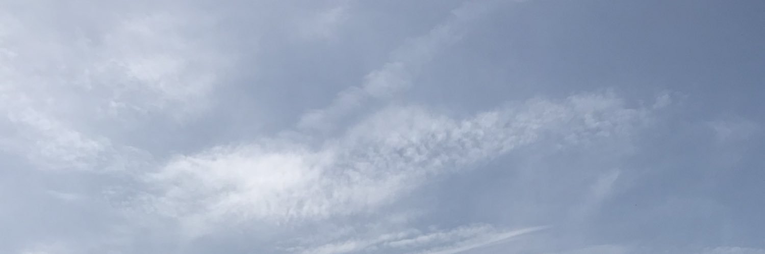 Shahin Arpanahi's banner