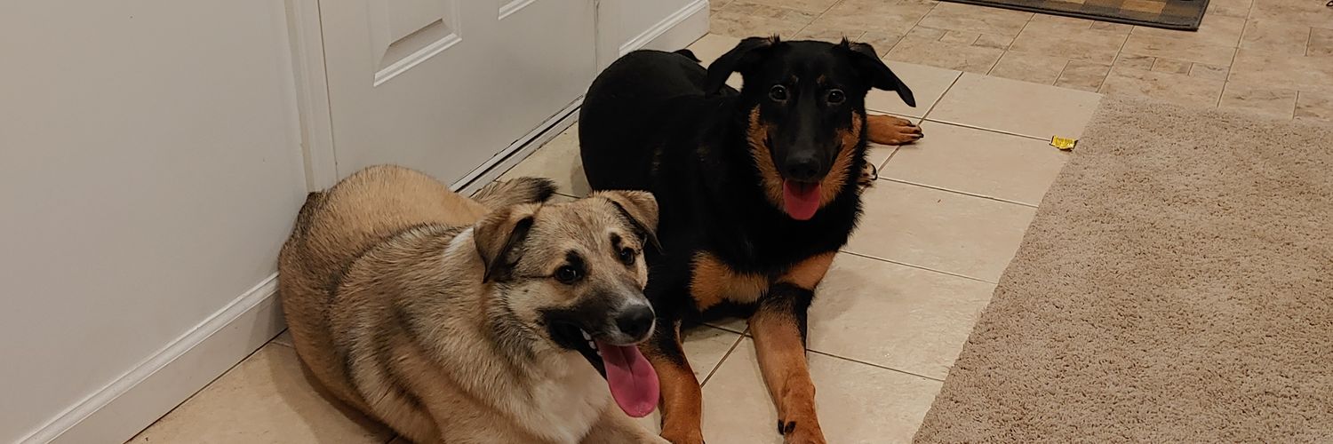 billylewis68's profile banner image