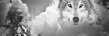 rosemarieraill's profile banner image