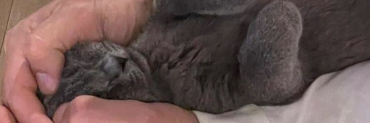itsDanielaMP's profile banner image