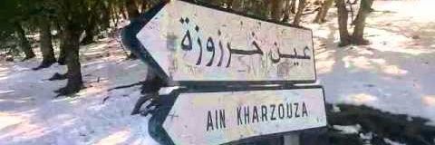 فُ أَ دْ banner