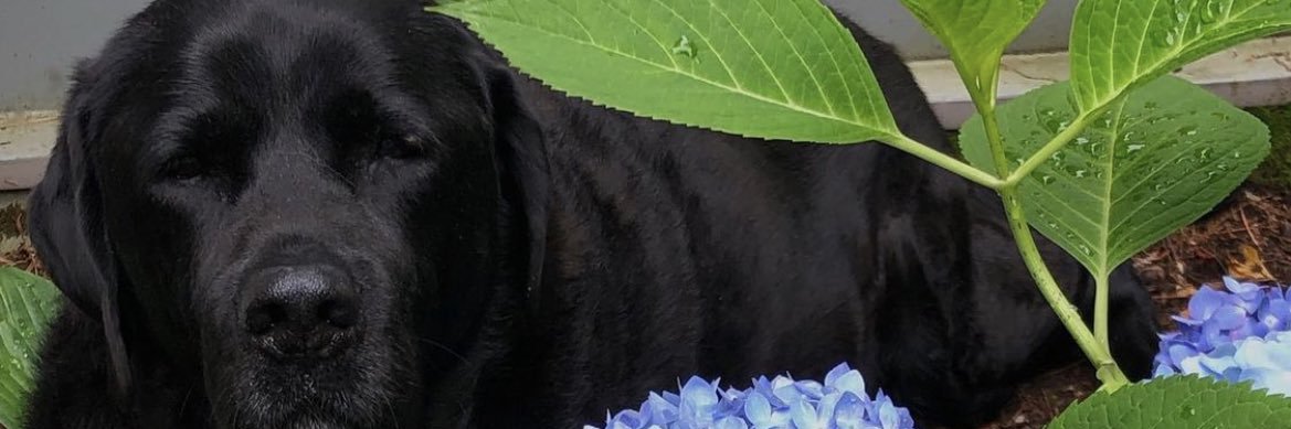 LukeBromilow_'s profile banner image