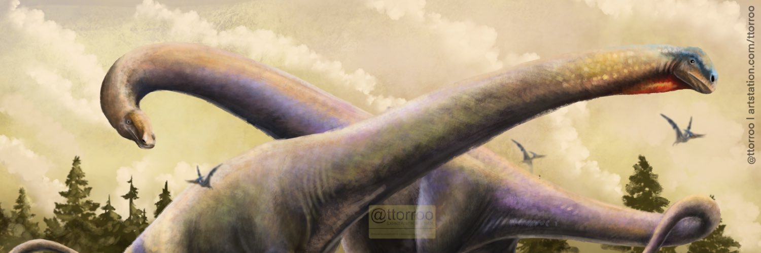 ttorroo's banner