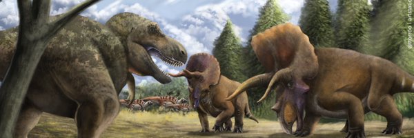ttorroo Profile Banner